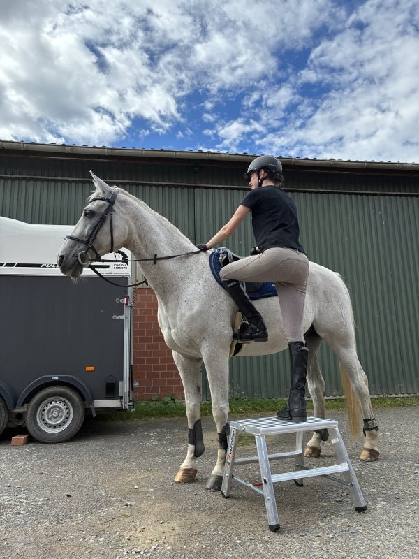 euroline PREMIUM line DIY Alu - Stufentritt, beidseitig 30581 - Topleiter